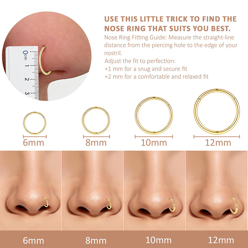 16G 316L Surgical Steel Hinged - Body Jewelry Ear ulasan dan harga